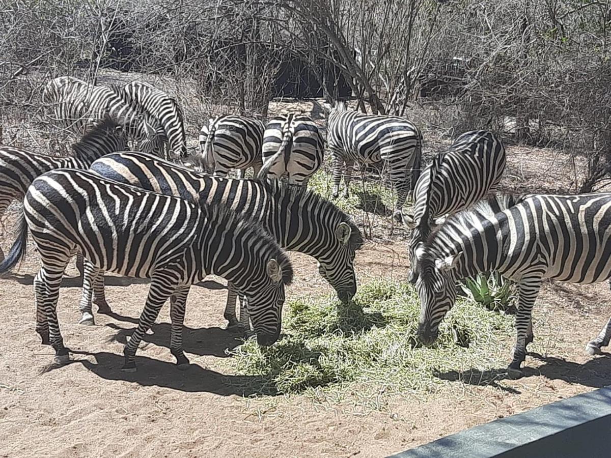 African Bush Escape มาร์ลอทพาร์ค ภายนอก รูปภาพ