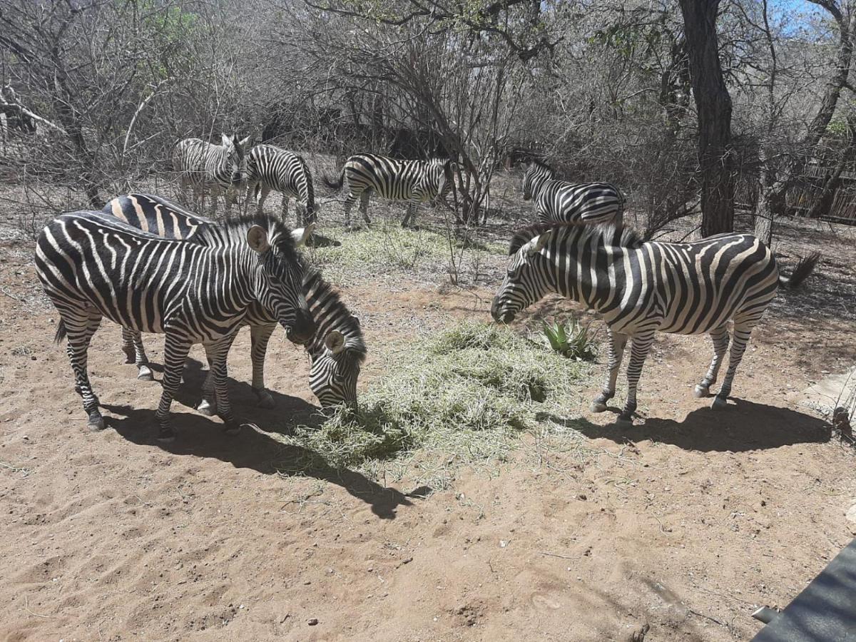 African Bush Escape มาร์ลอทพาร์ค ภายนอก รูปภาพ