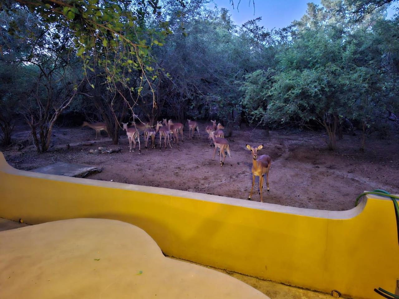 African Bush Escape มาร์ลอทพาร์ค ภายนอก รูปภาพ