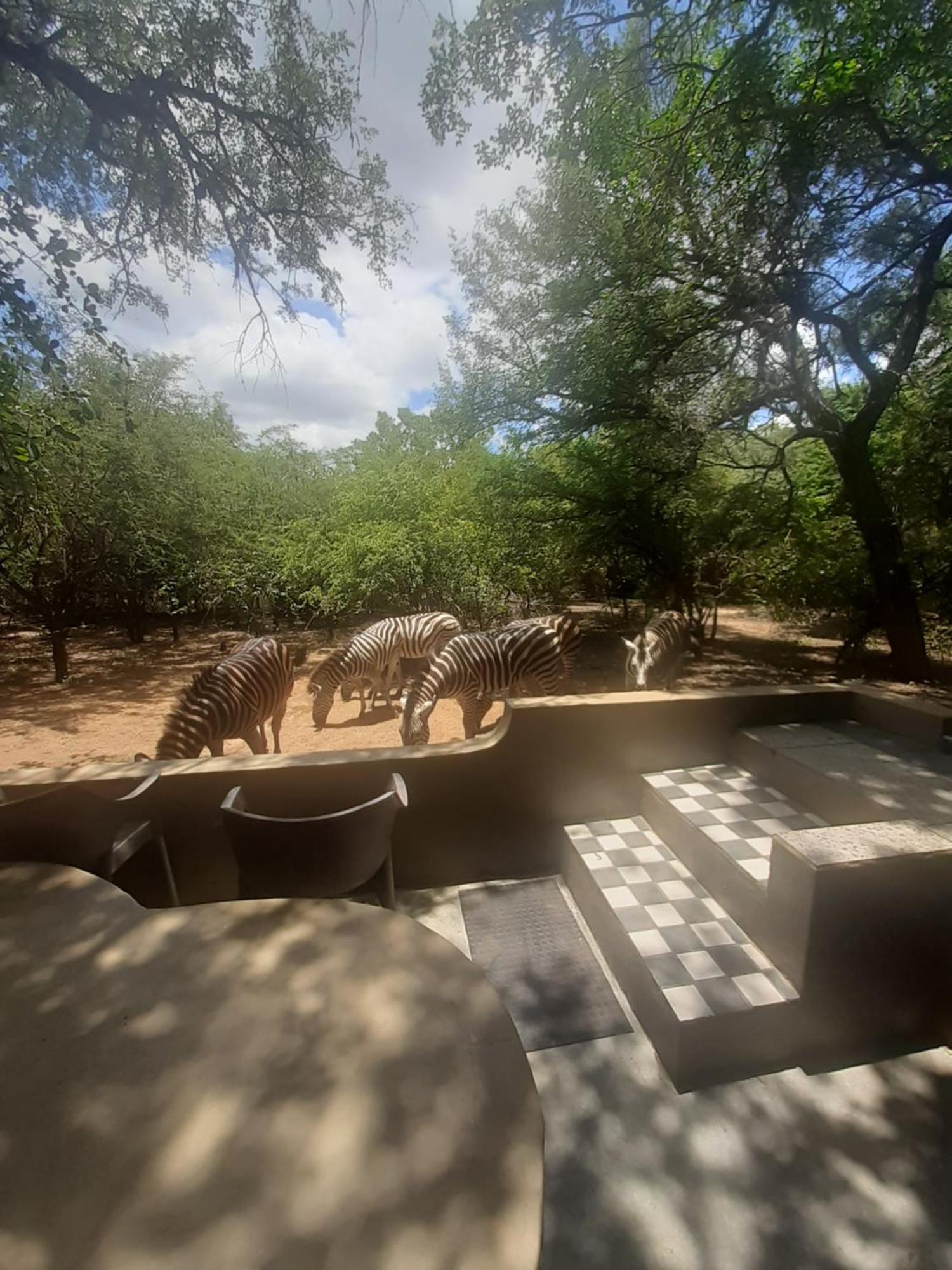 African Bush Escape มาร์ลอทพาร์ค ภายนอก รูปภาพ
